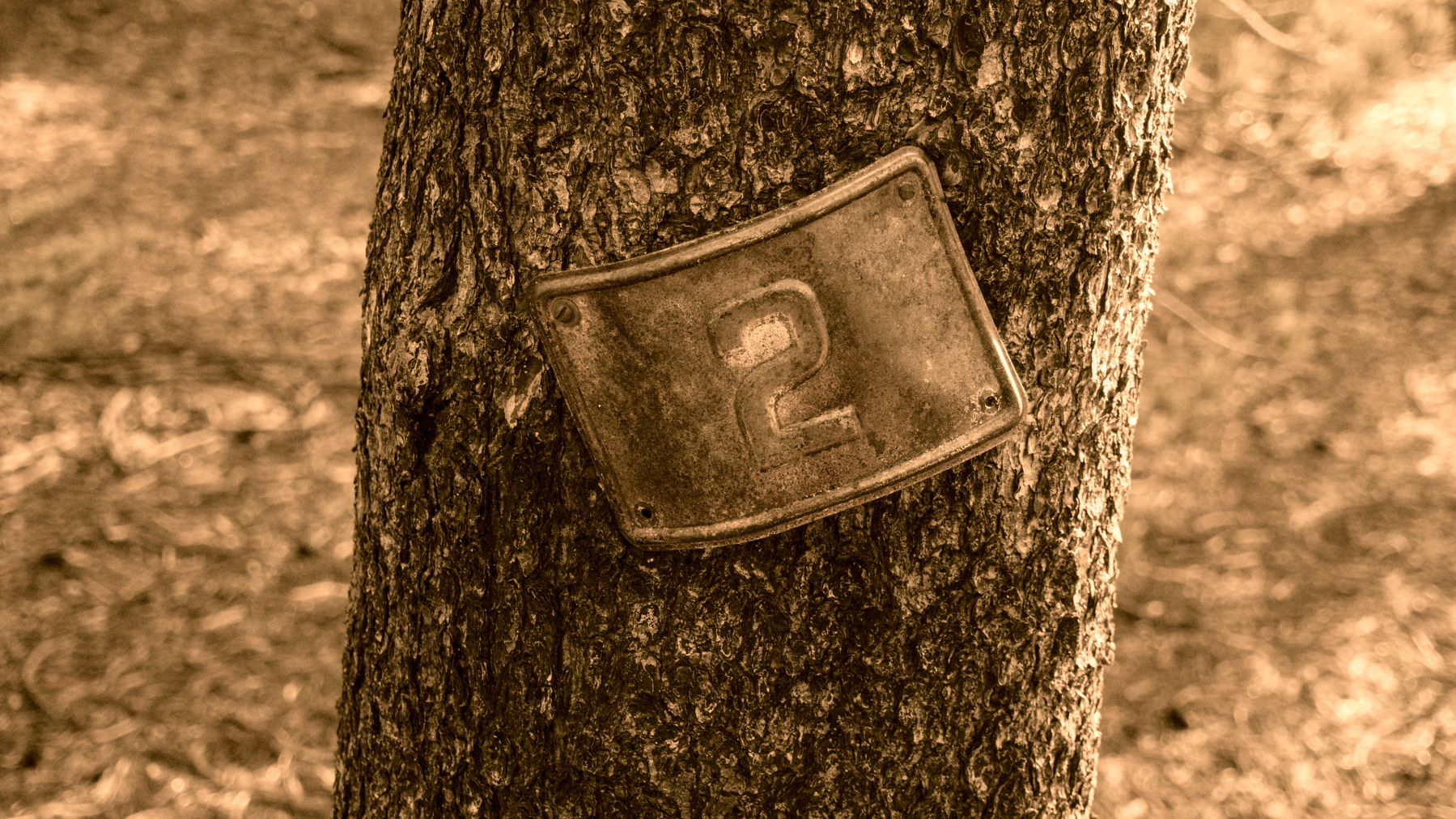 old trail mileage marker